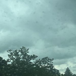 Meet your Posher, Benjamin